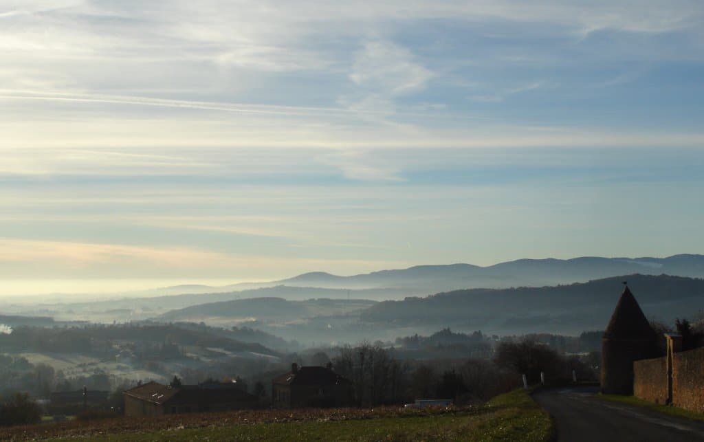 Brouillards matinaux 