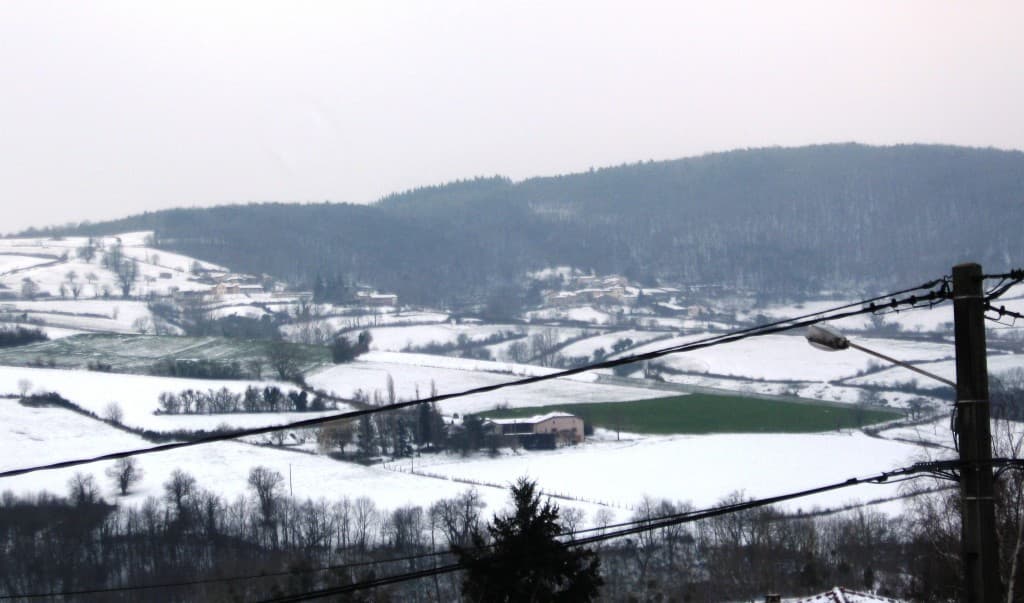 Champ vert dans la neige