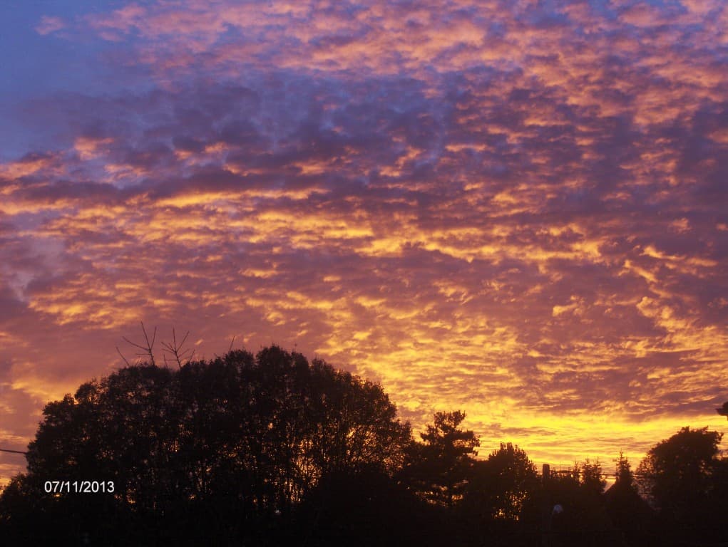 ciel flamboyant