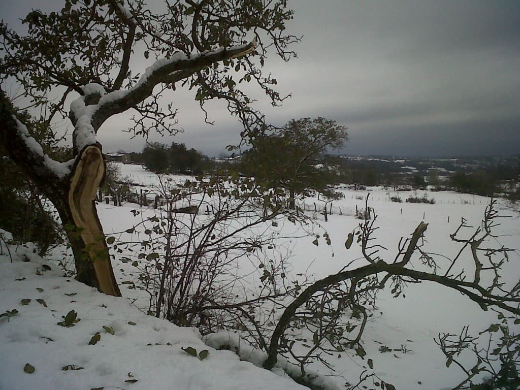 Dégat neige 