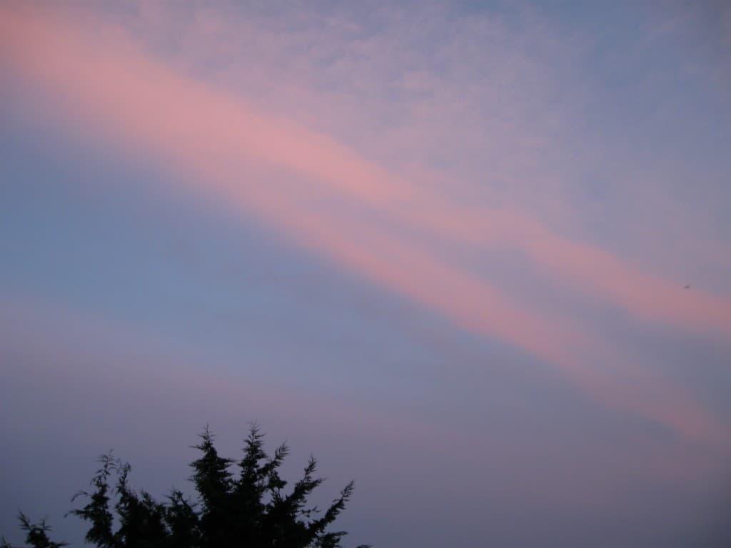 Douceur  rosée d'un soir