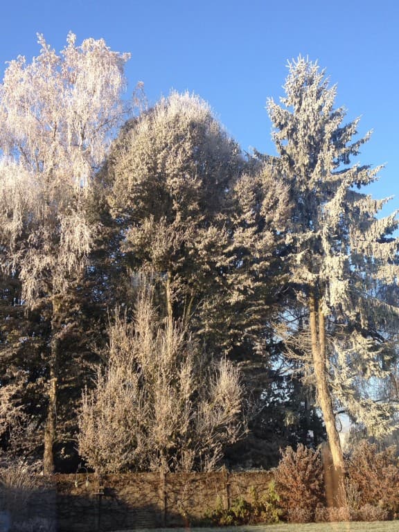 Givre