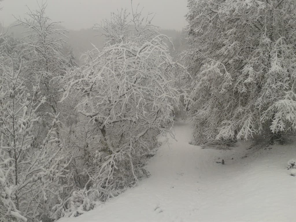 Il neige à Grandris