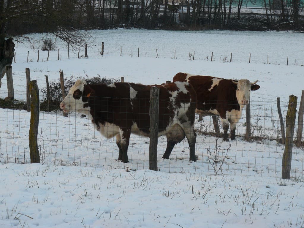 l'hivers est vache !!