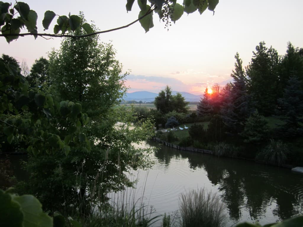 La fraicheur d'un soir d'été