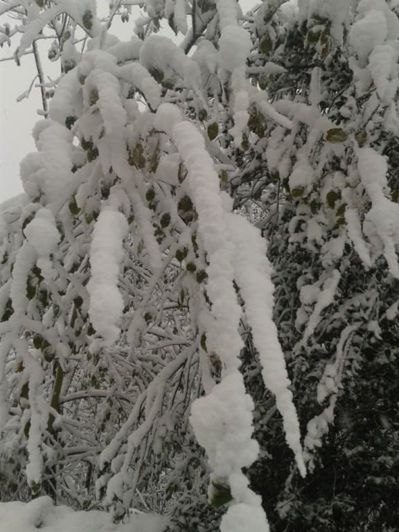 La neige à Grandris 