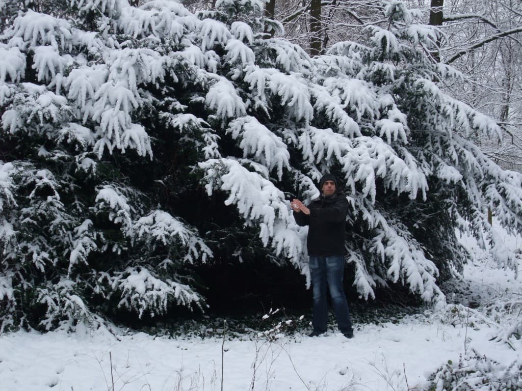 la neige