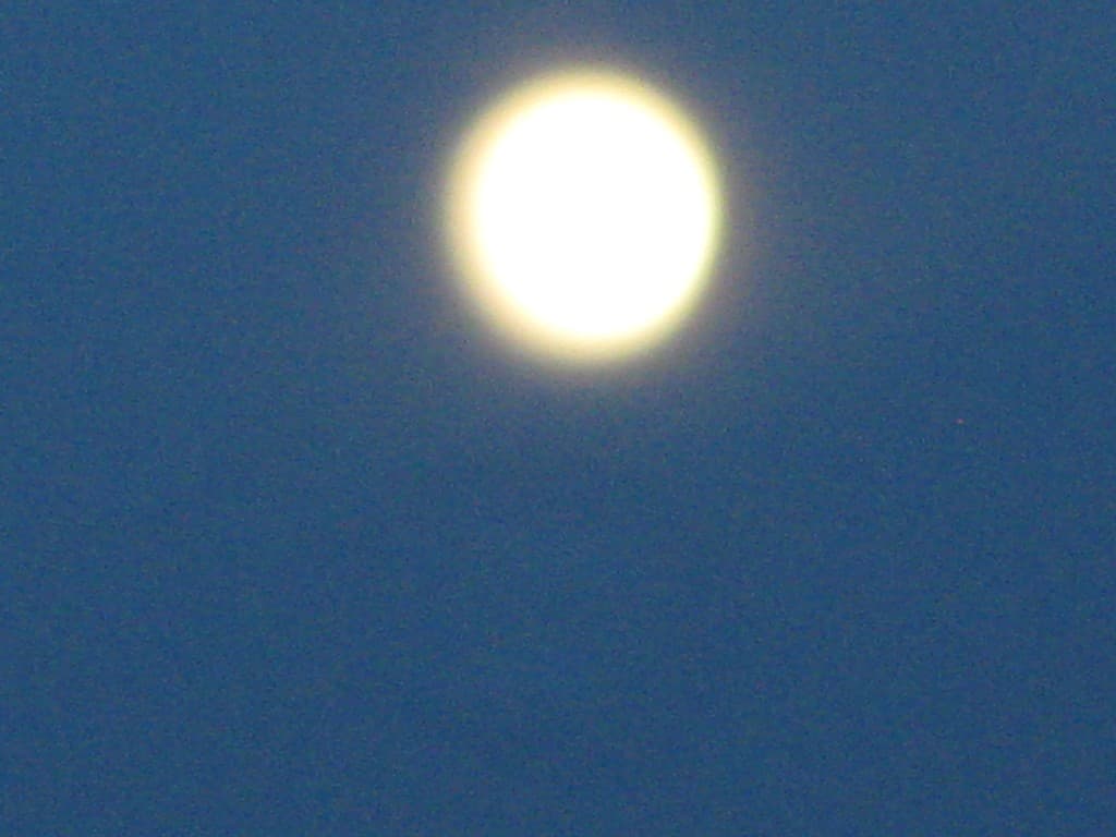 lune auréolée