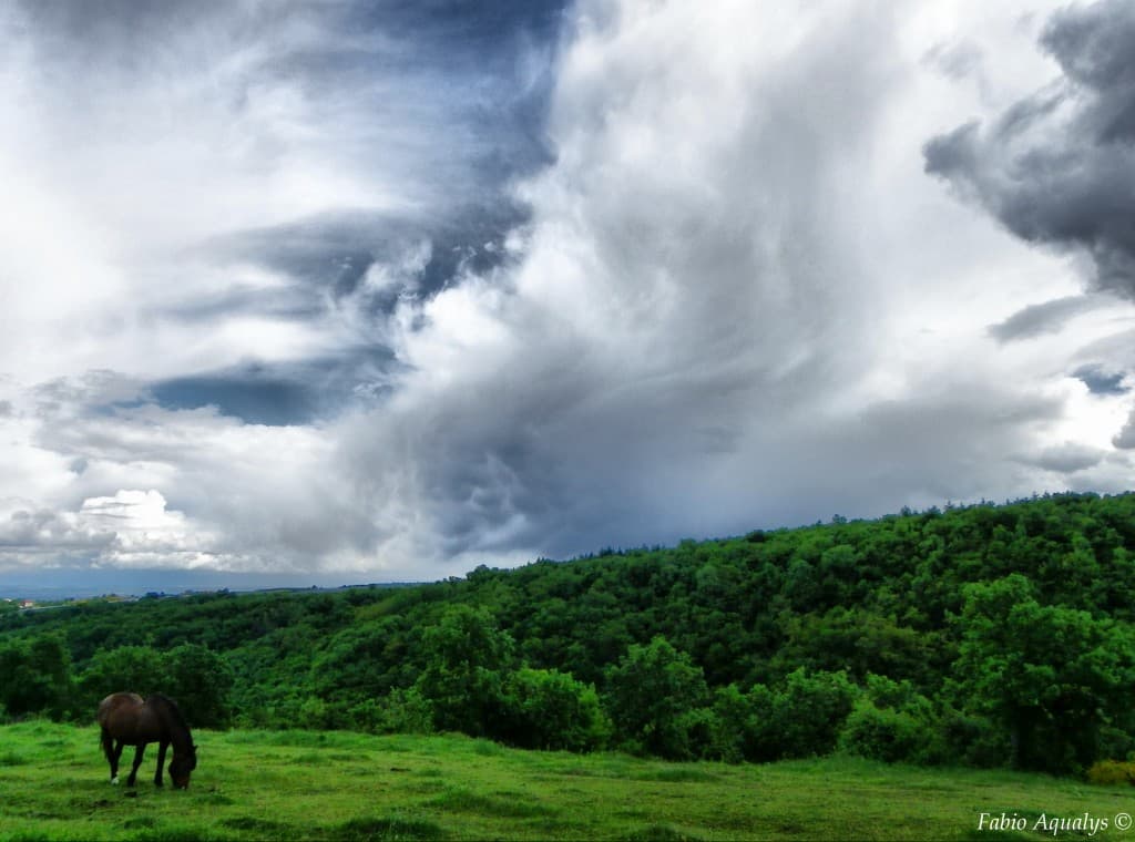 Mammatus