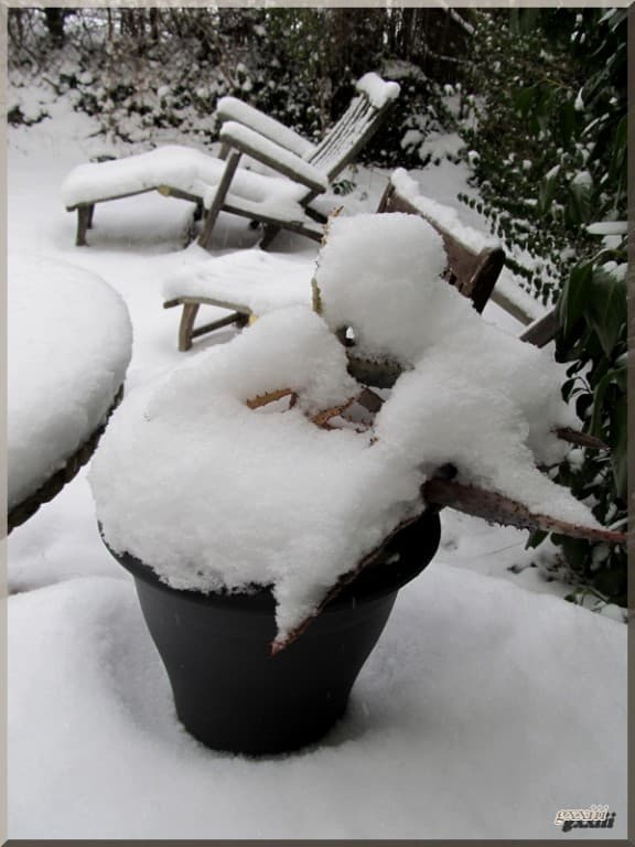 Pas de doute...