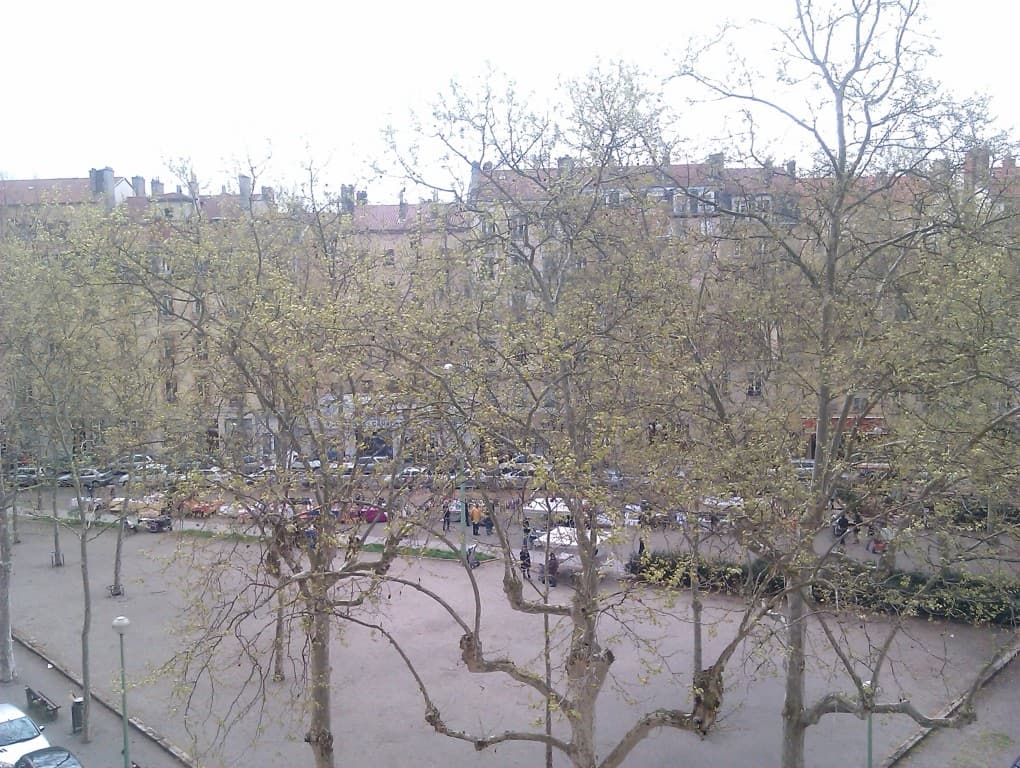 Place Tabareau