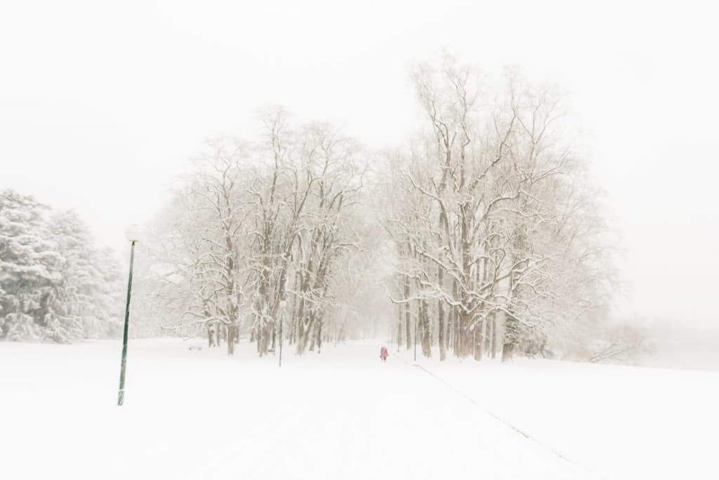 tete d'or sous la neige