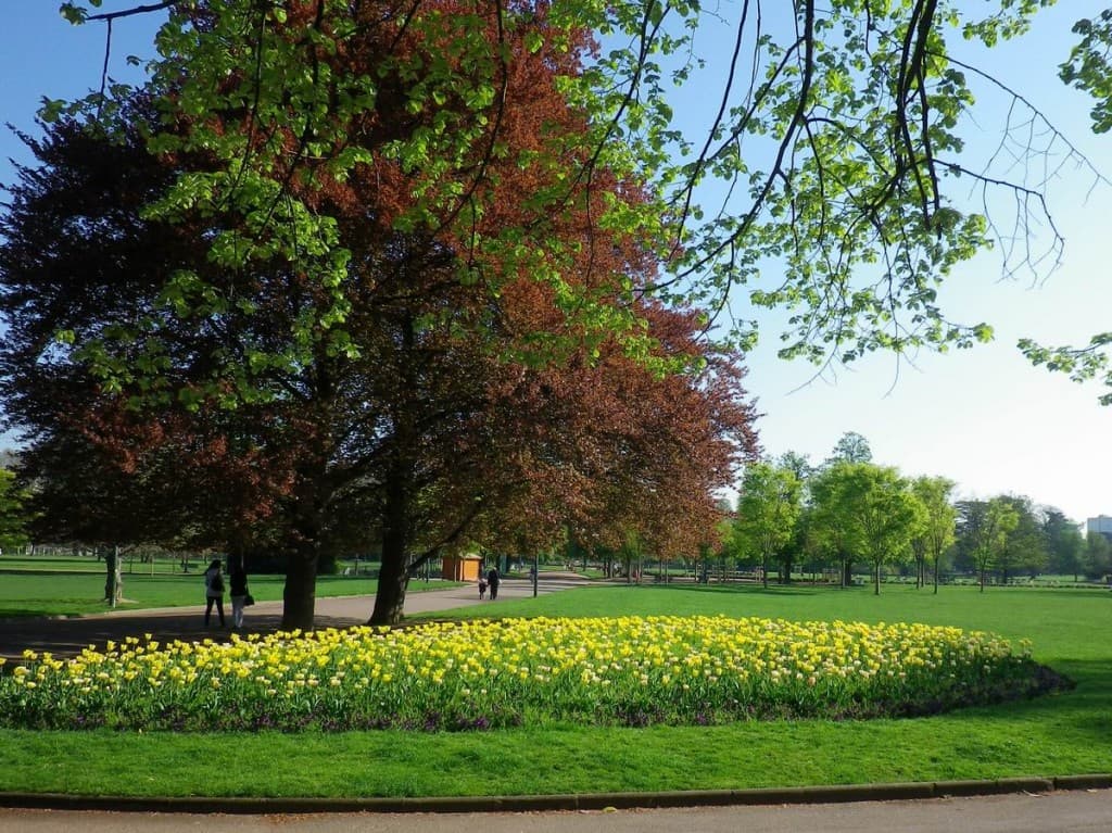 Tulipes au Parc de la Tête d'Or