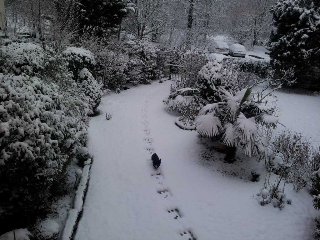 un jardin en hiver