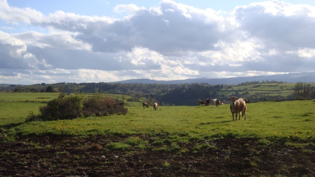 Ciel de traine sur les monts du Cantal