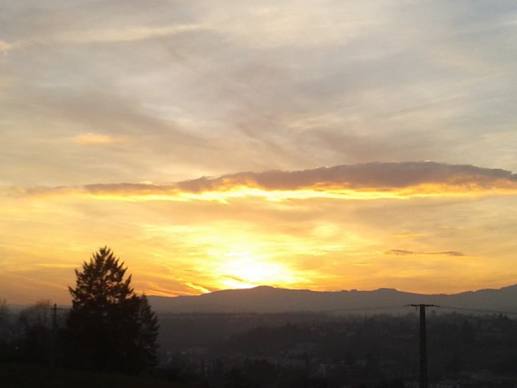 Fin d'après-midi