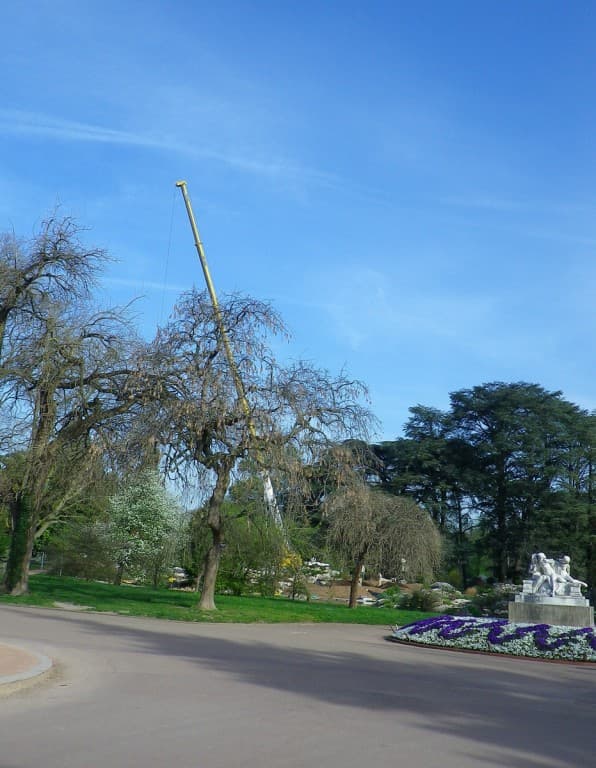 La girafe nouvelle est arrivée !