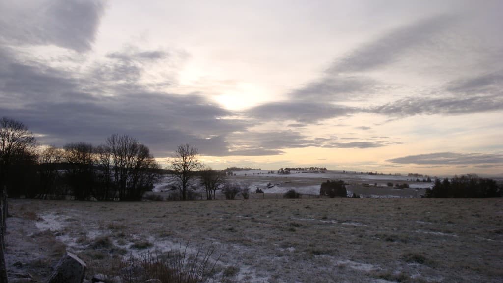 Matin gelé