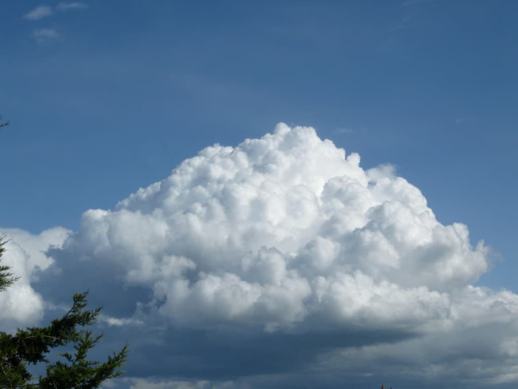  nuage de coton