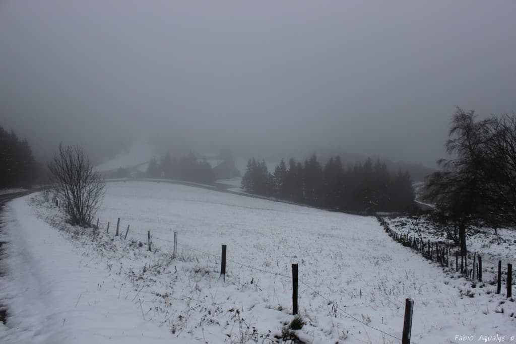 Première Neige dans le Pilat