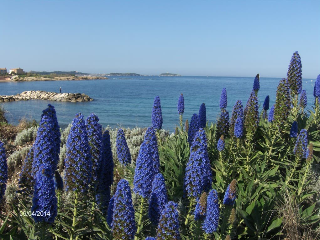 Sanary sur Mer en bleu