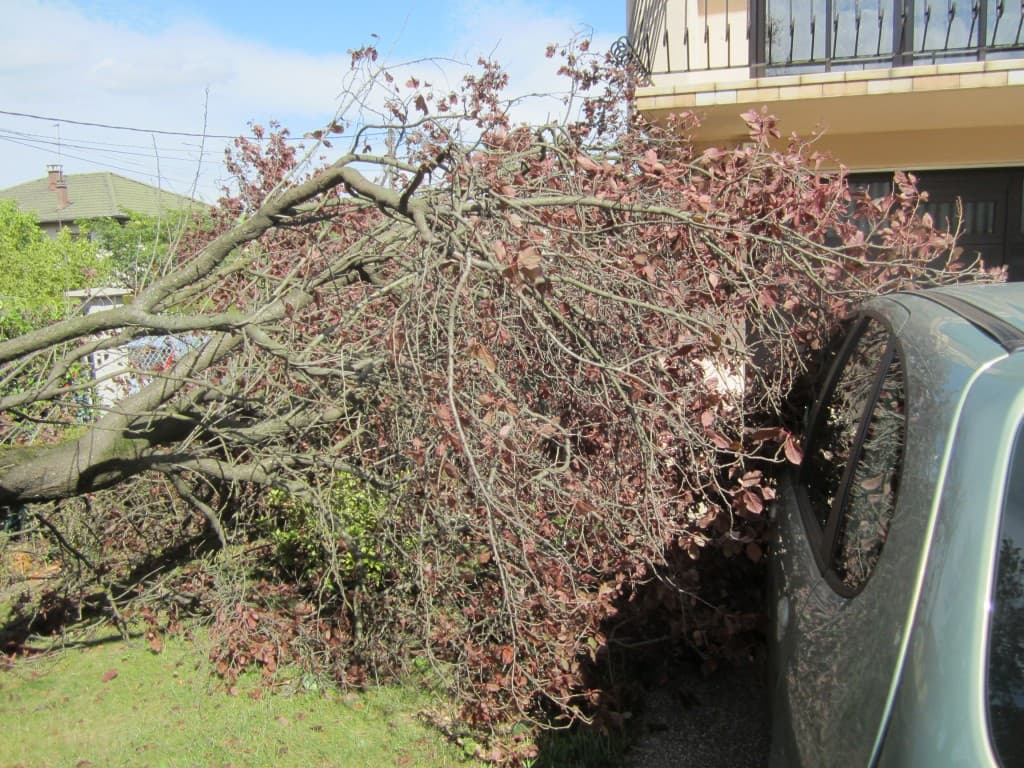 Dégat par tempête