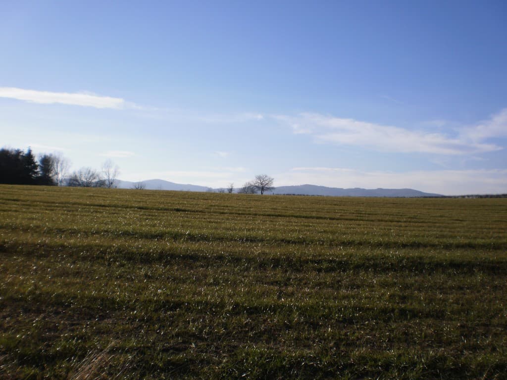 Entre CRAPONNE et FRANCHEVILLE