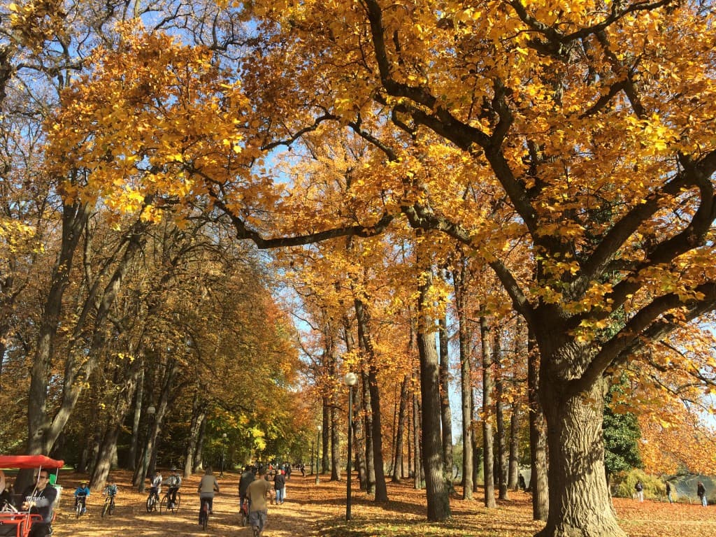 L'automne