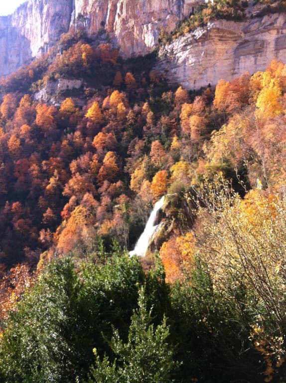 L'automne 