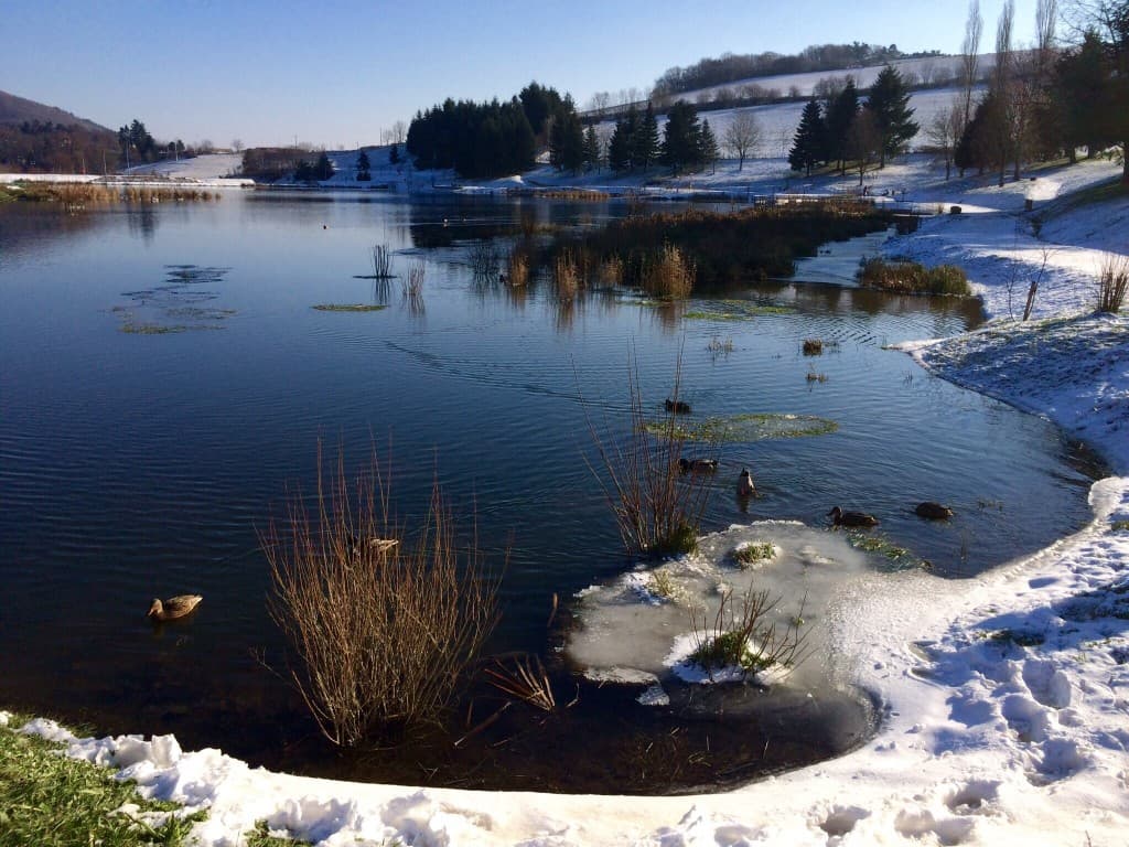 Lac de Ronzey en partie gelée