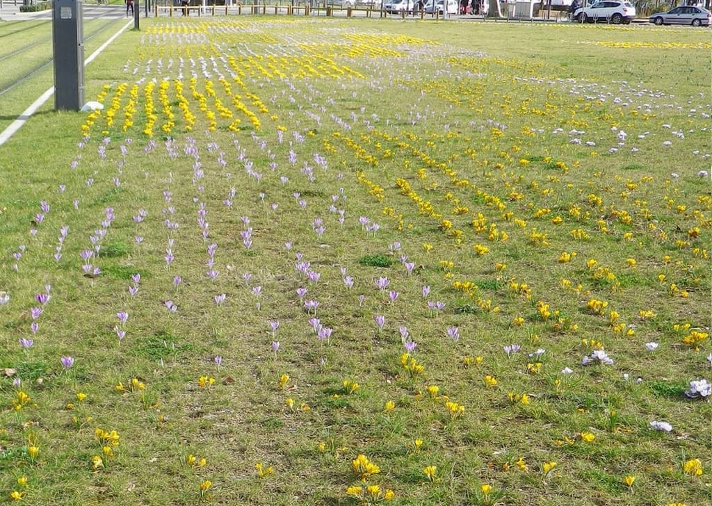 Le printemps arrive !