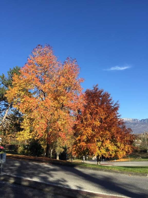 Les derniÃ¨res belles couleurs