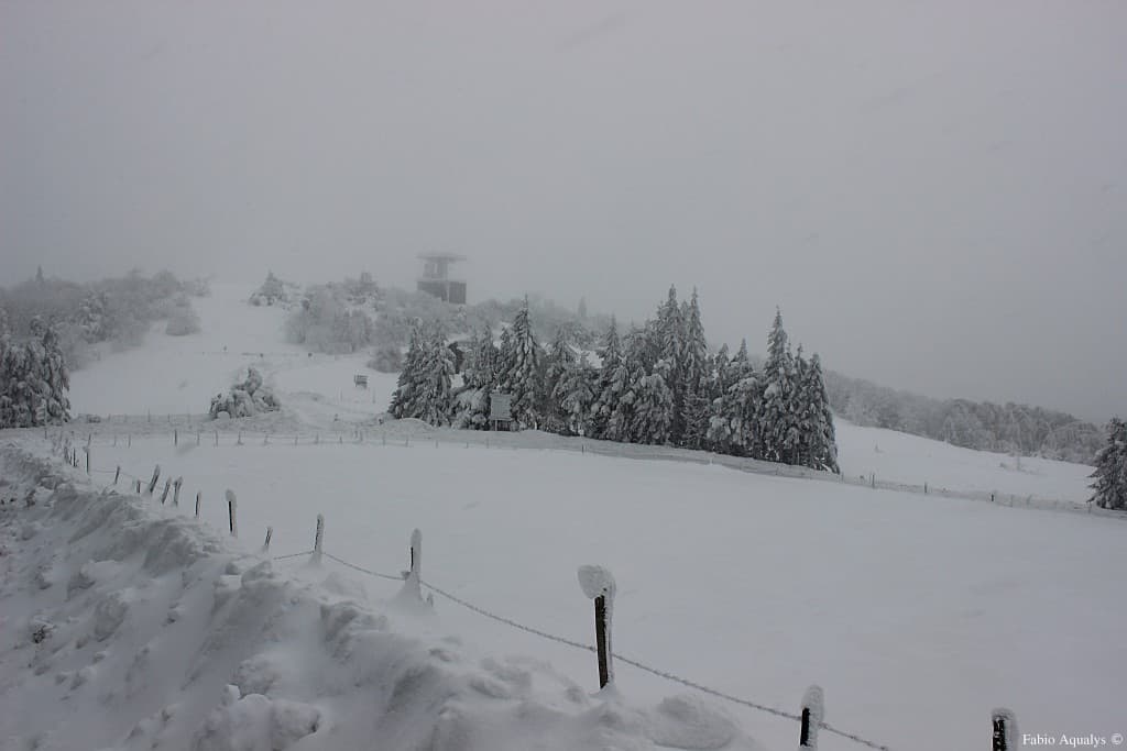 Neige Pilat 50cm