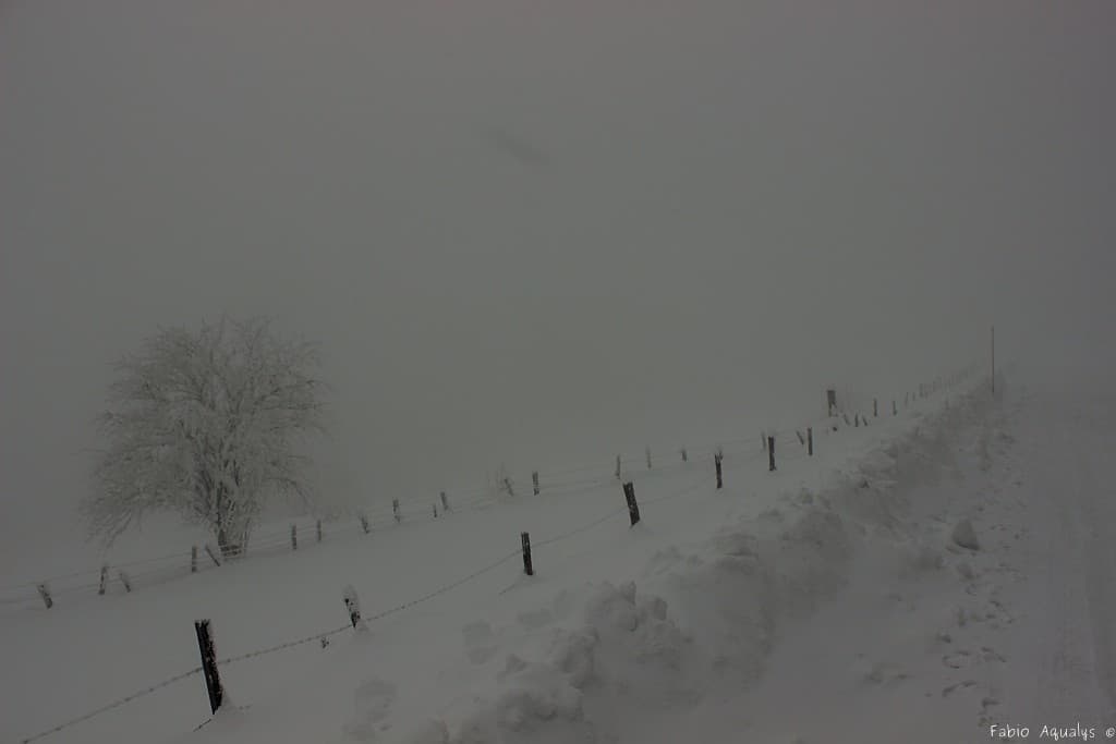 Neige Pilat 50cm