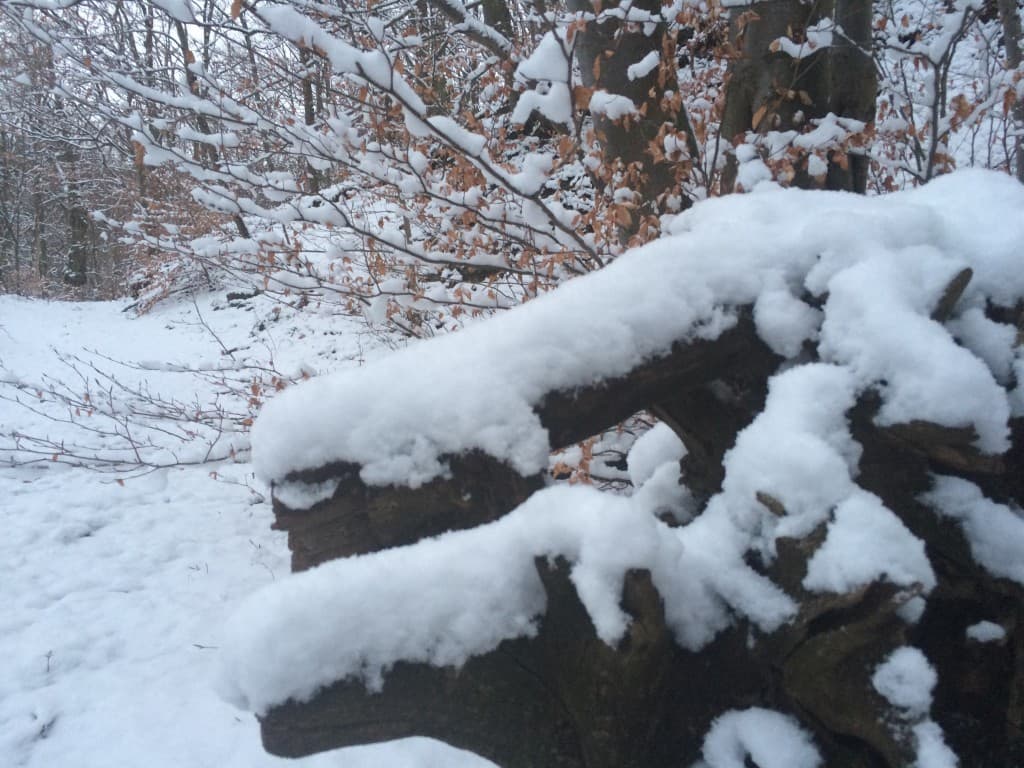 Neige