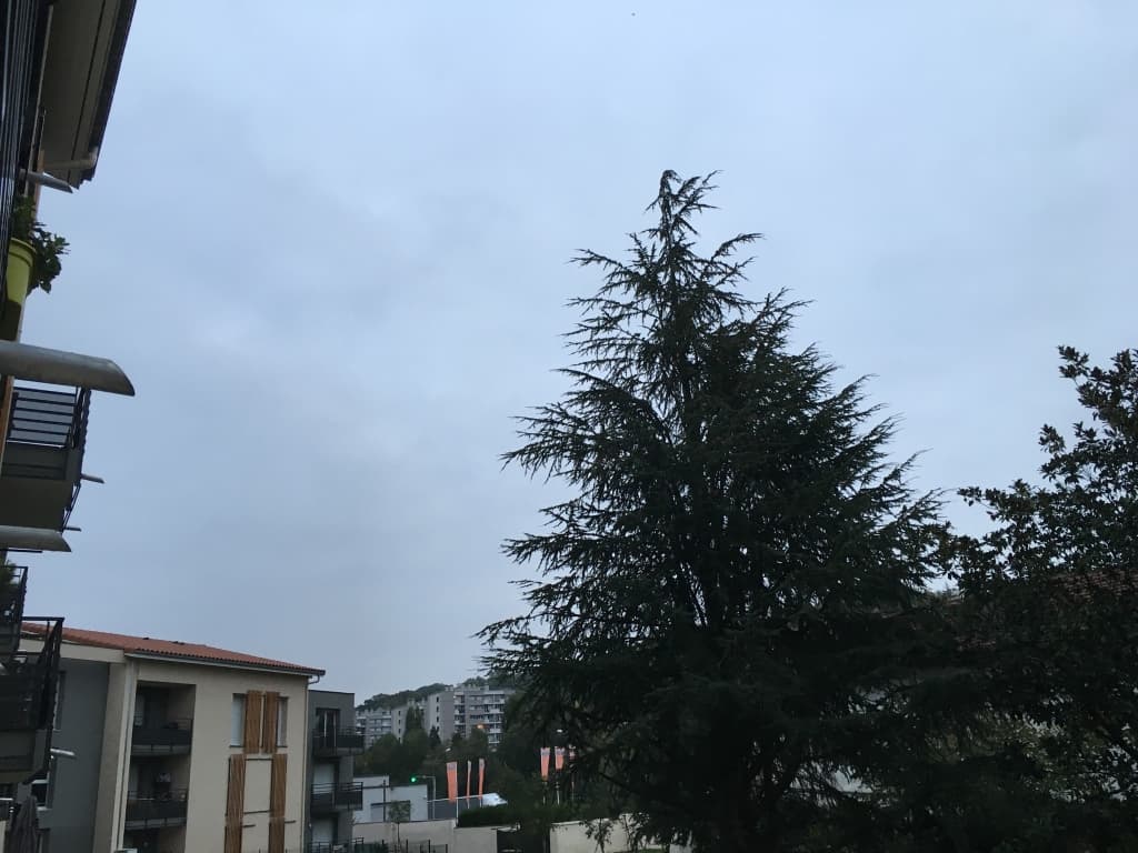 Temps gris