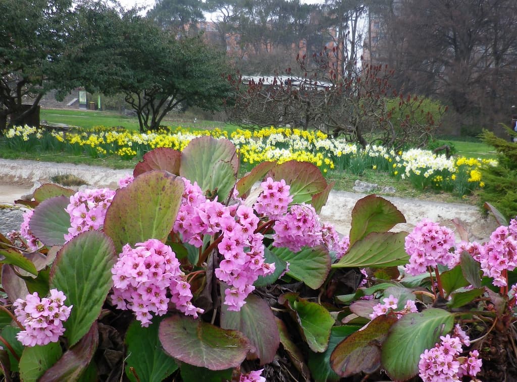 Vive le printemps !