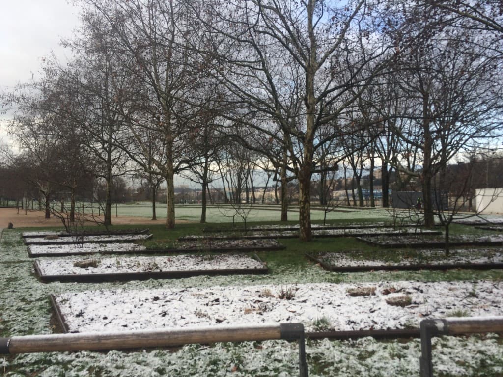 Neige de mars