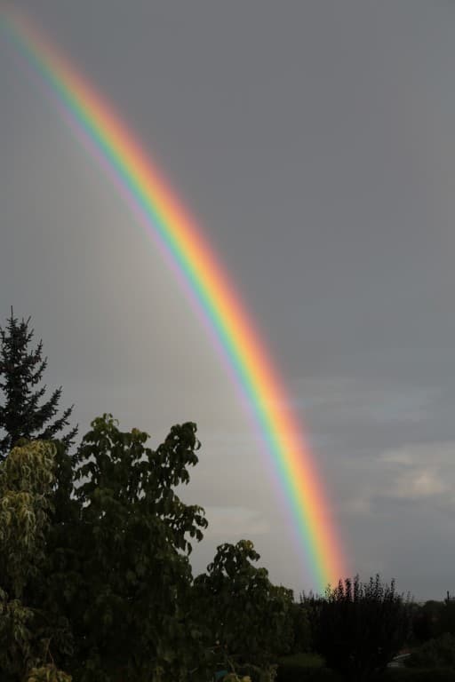 Après la pluie...