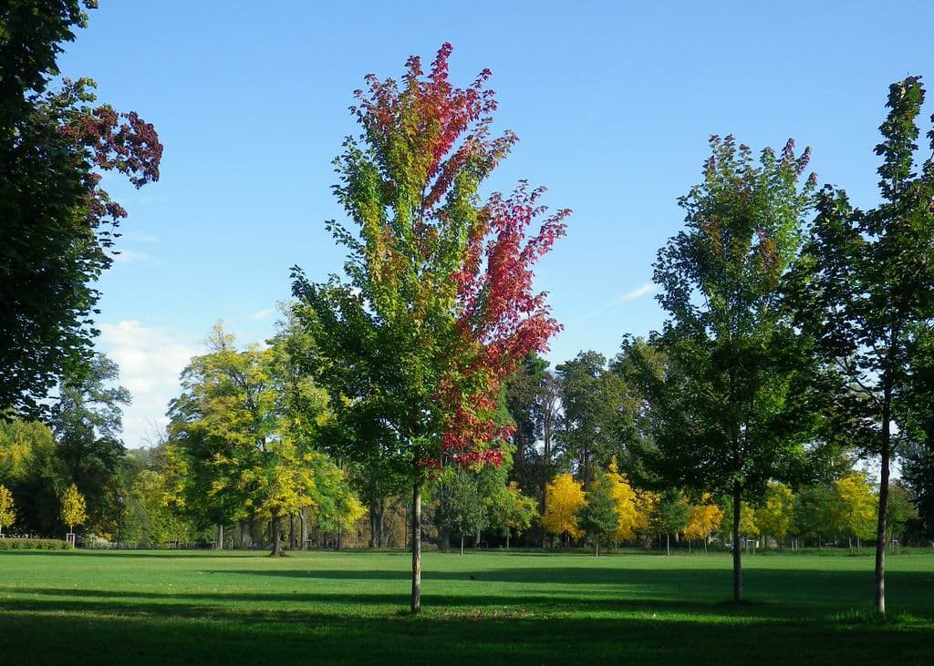 Couleurs automnales