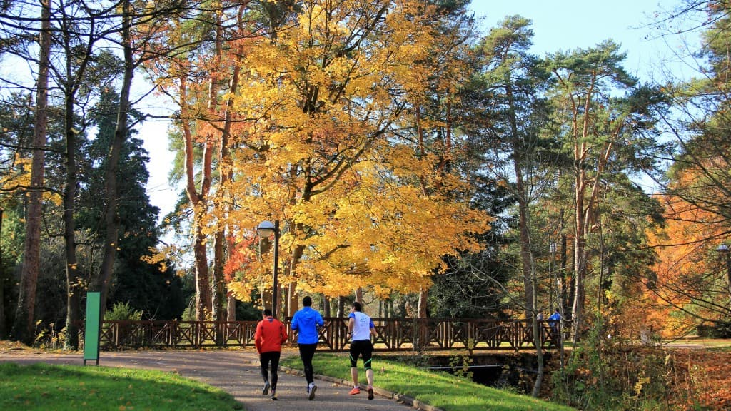 Couleurs d'automne