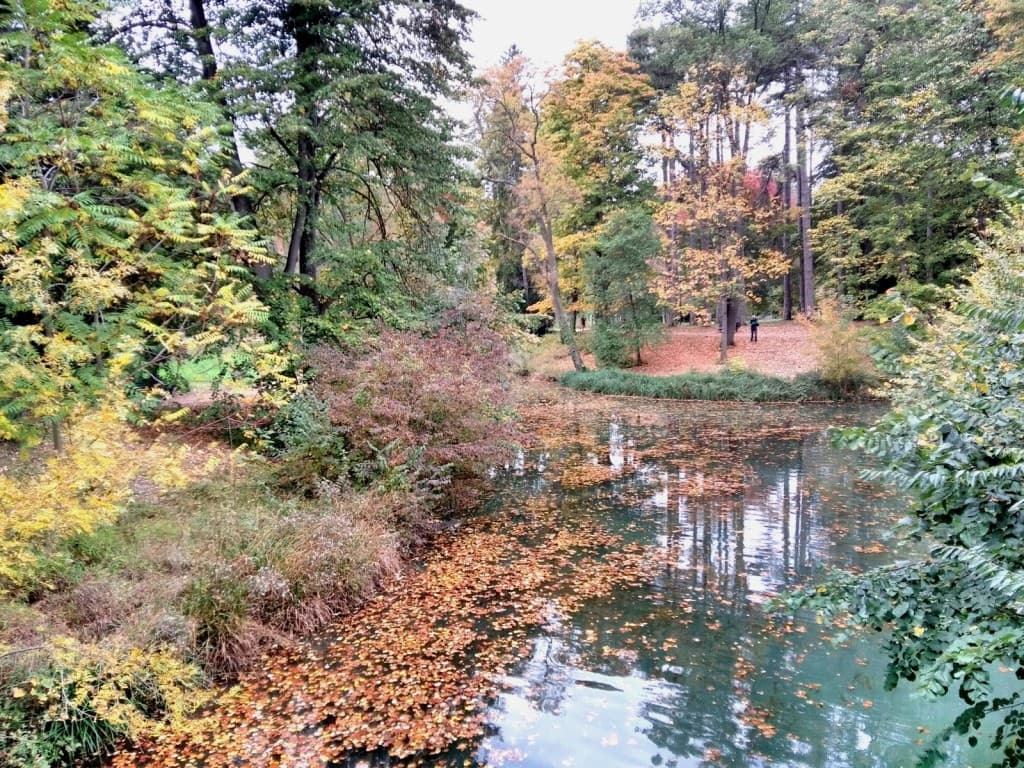 fin d'une journée d'automne