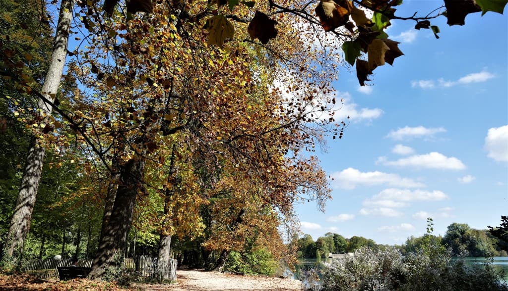le Parc tête d' Or