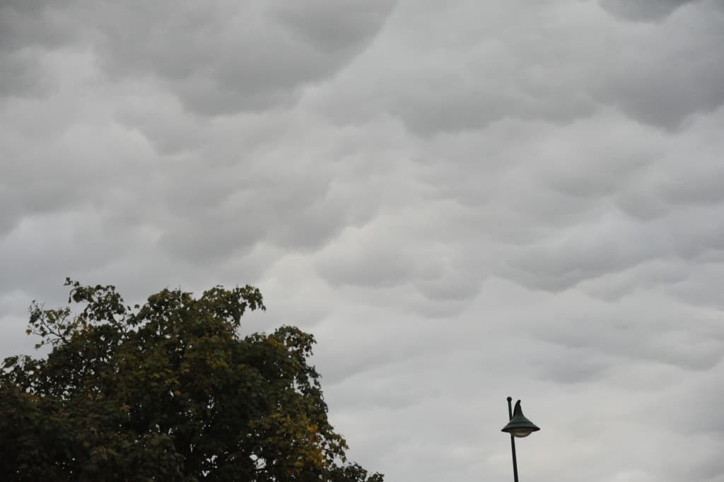 mammatus