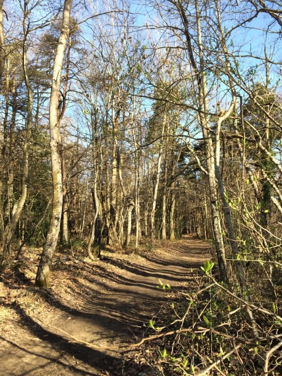 PercÃ©e  du printemps