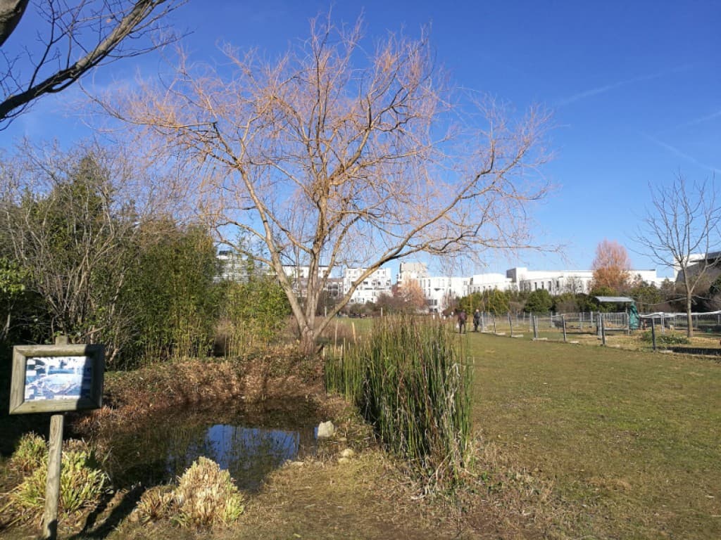Retour du soleil à Lyon