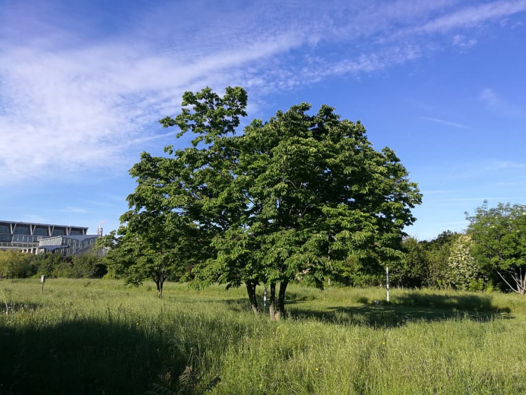 Retour du soleil à Lyon