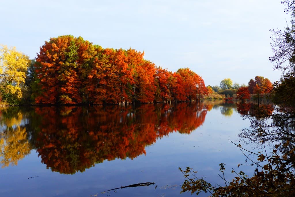 couleur d'automne 