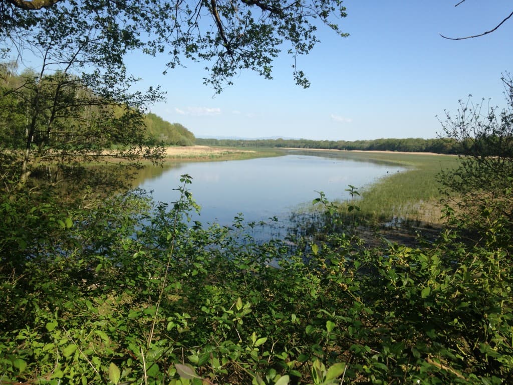Etang de La Dombes, Le "grand étang"