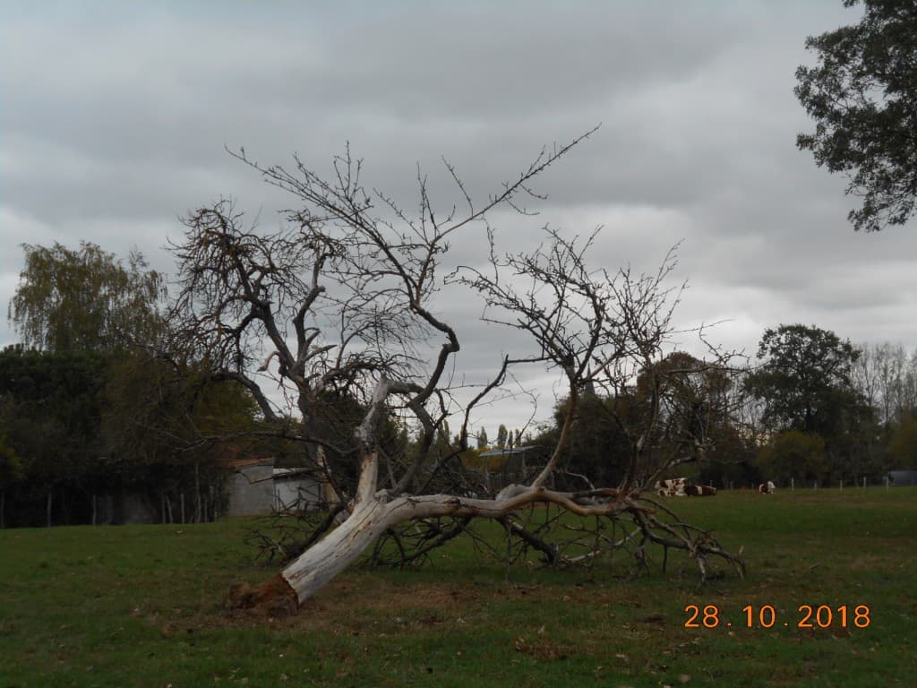 Paysage champêtre sous un ciel menaçant